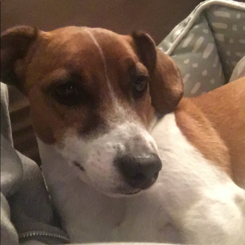 Meet your Posher, Pam